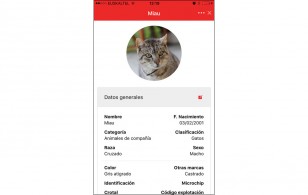 Zebra Animal App