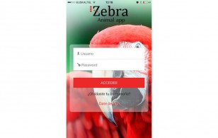 Zebra Animal App