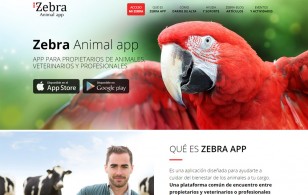 Zebra Animal App